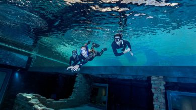 دیپ دایو دبی