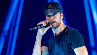 Enrique Iglesias Concert
