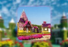 Dubai Miracle Garden reopens
