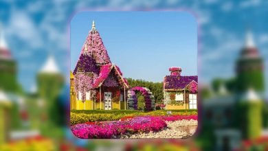 Dubai Miracle Garden reopens