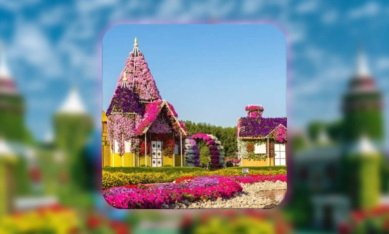 Dubai Miracle Garden reopens