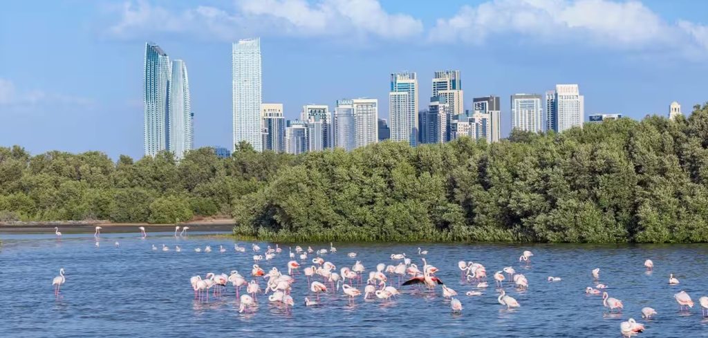 Ras Al Khor Wildlife Sanctuary