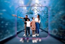 fabulous in dubai free