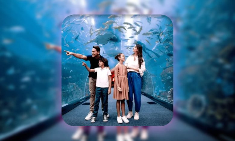 fabulous in dubai free