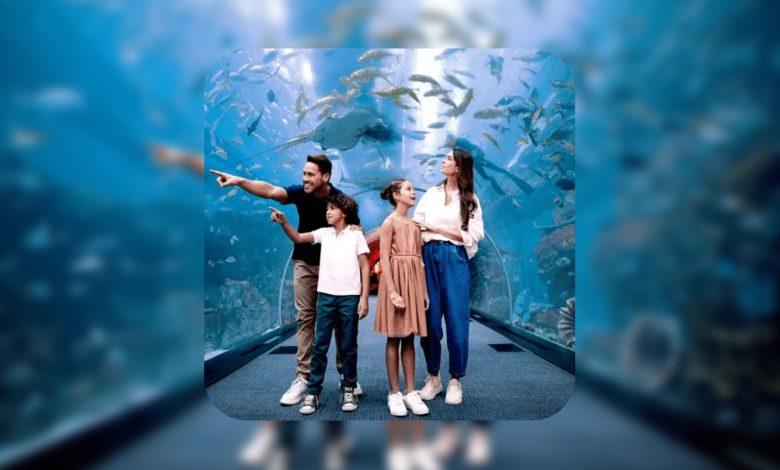 fabulous in dubai free