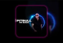 pitbull dubai concert