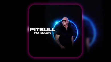 pitbull dubai concert