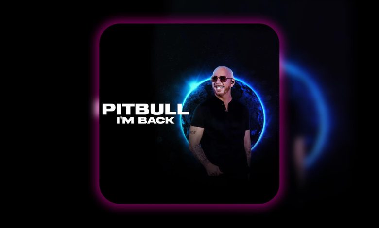 pitbull dubai concert
