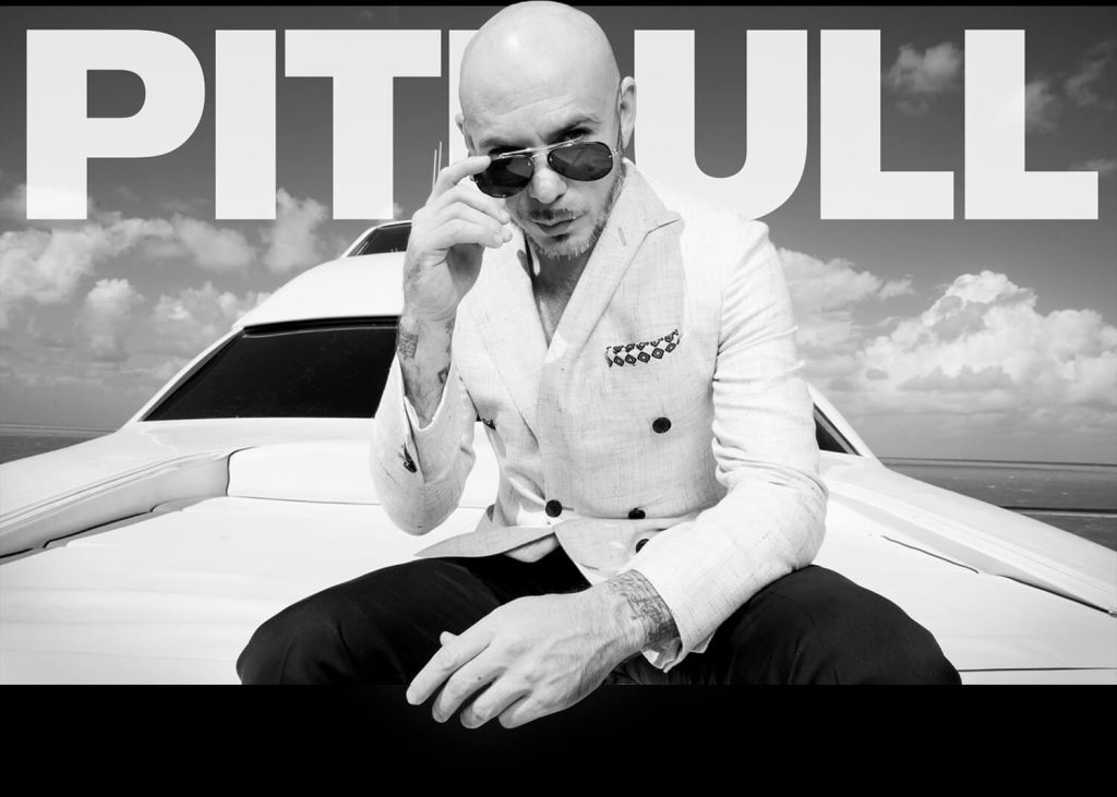 pitbull