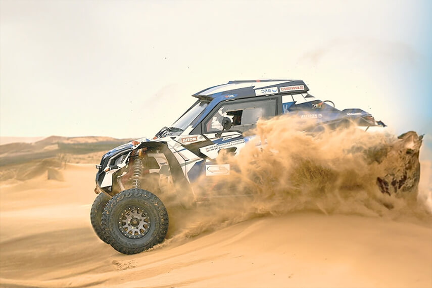 Liwa International Festival