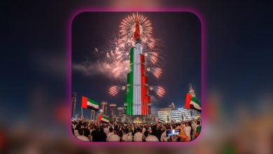 UAE National Day fireworks at Burj Khalifa