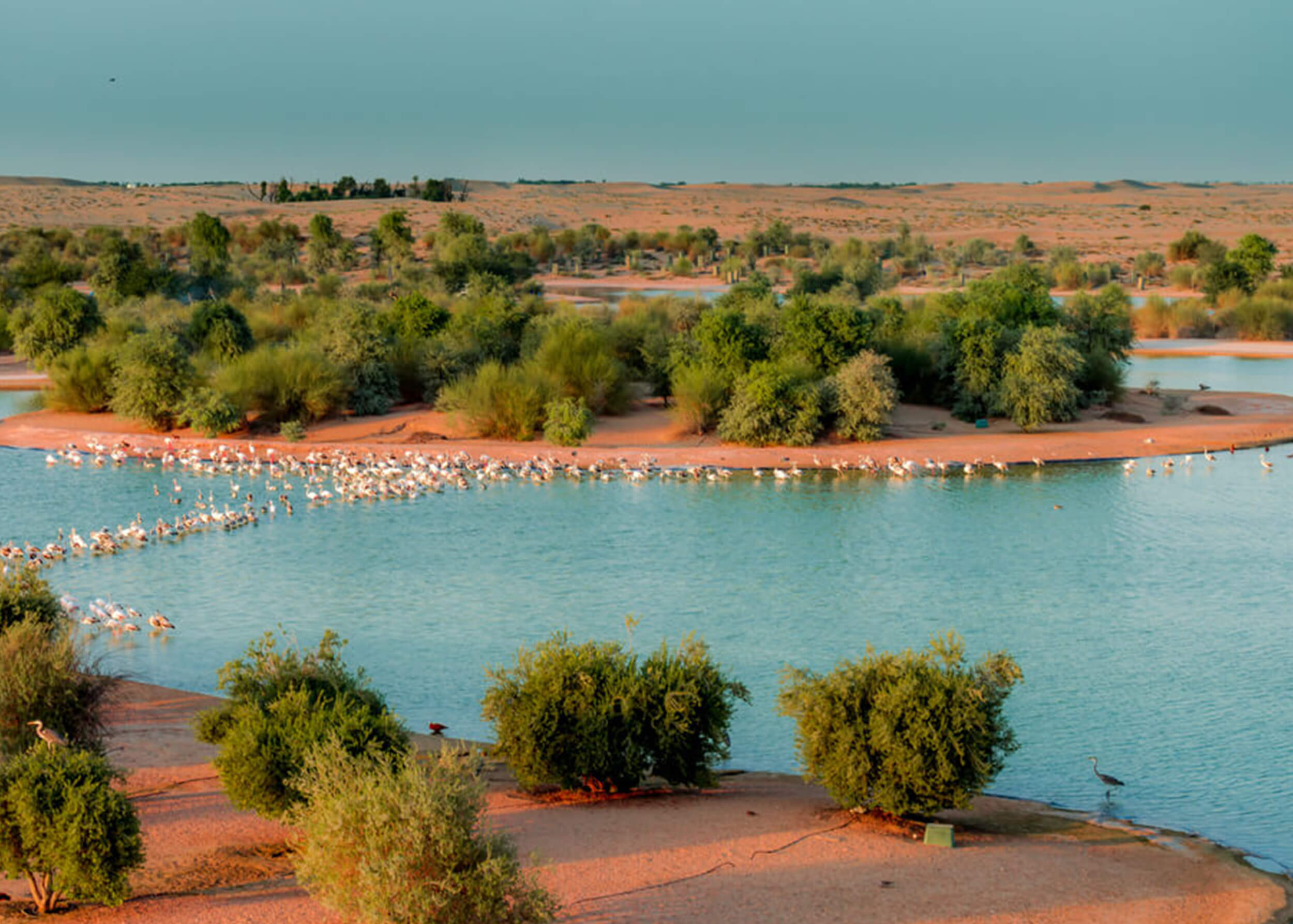 Al Qudra