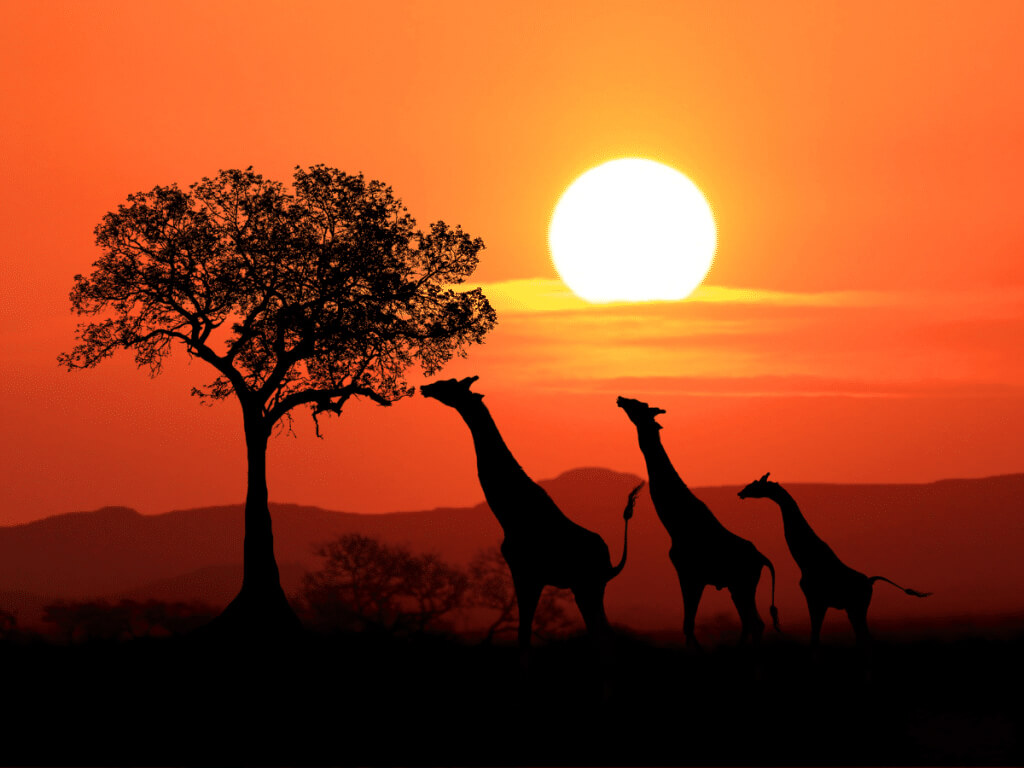 Kenya