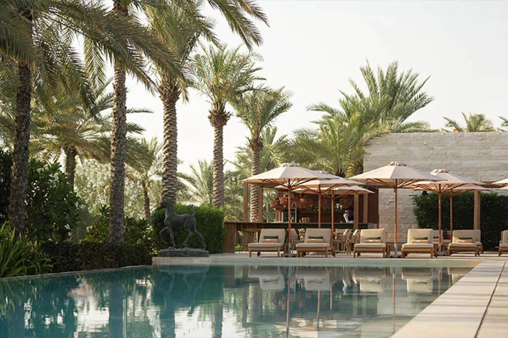 Melia-Desert-Palm