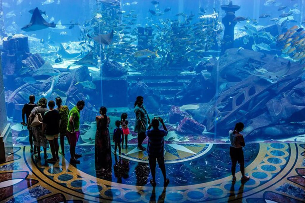 The-Lost-Chambers-Aquarium